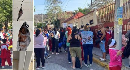 Primaria Juan Álvarez está construida sobre falla geológica, daños ponen en peligro a niños y padres exigen solución inmediata