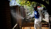 Argentina suma ya casi 200 muertes por dengue desde el inicio de la temporada
