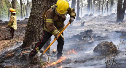 Acumula Hidalgo 78 incendios forestales; Acaxochitlán y Zacualtipán con más reportes: Semarnath