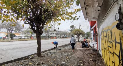Reportan 80% de avance en modernización de avenida Insurgentes en Irapuato