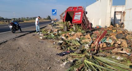 Vuelca camioneta cargada con plantas en carretera Pénjamo-La Piedad