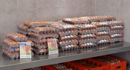 ¡Hasta 50 pesos el kilo de huevo en Pachuca! ¿Por qué ha subido tanto?