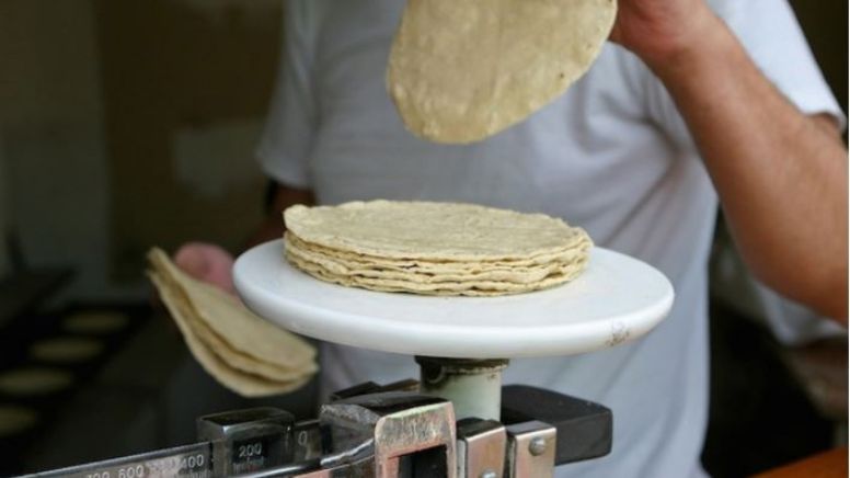 ¿Nos engorda la tortilla? Funciona hasta para hacer dieta, dicen productores de Pachuca