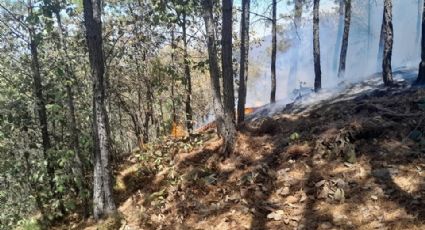 Algunos incendios forestales en Hidalgo podrían ser provocados: Protección Civil