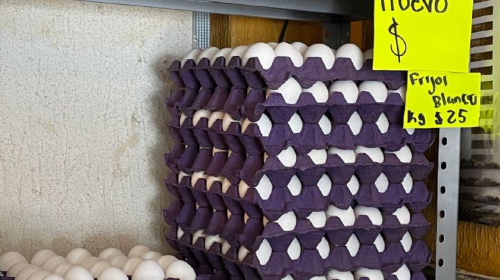 El precio del huevo en León supera los 50 pesos por kilo. ¿A qué se debe?