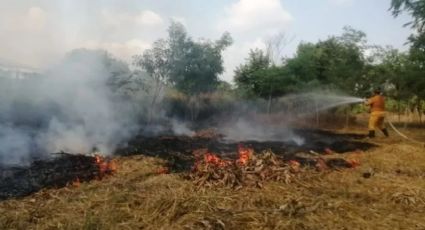 Afectan incendios forestales más de 100 hectáreas en Acaxochitlán