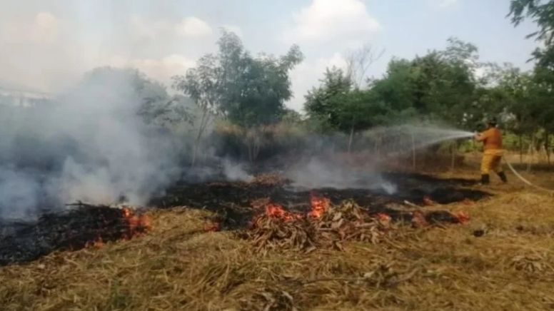 Afectan incendios forestales más de 100 hectáreas en Acaxochitlán