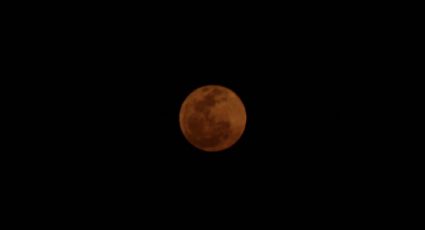 Así fue captada la luna rosa desde Pachuca, ¿la viste?