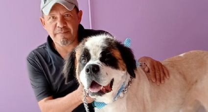 ¡Salvan vidas peludas! Rescatistas Gabriela y Marcos dan vida digna a perritos de León
