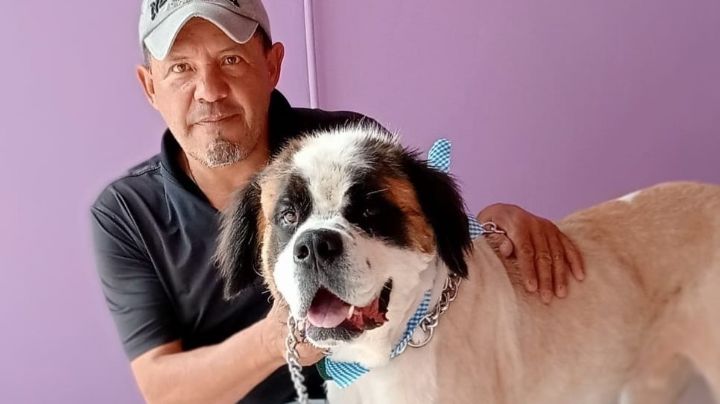 ¡Salvan vidas peludas! Rescatistas Gabriela y Marcos dan vida digna a perritos de León