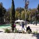 Por plaga y sequía mueren árboles en el parque Hidalgo de Pachuca
