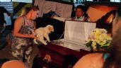 Perritos lloran al olfatear el cuerpo de Juan Francisco, así se despidieron de quien los rescató