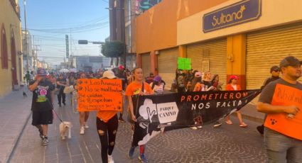 Demandan sanciones contra maltrato animal con marcha en Celaya