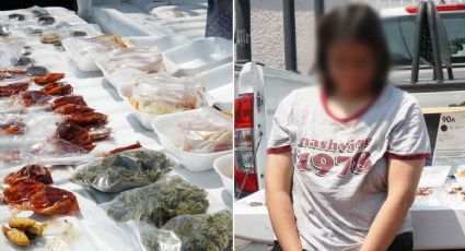 Pasteles y golosinas de marihuana, la detienen afuera de escuela con bolsas de hierba cannabis
