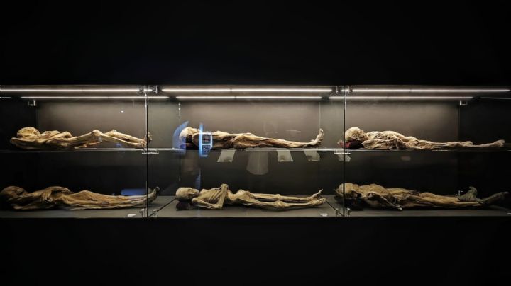 ‘Recuestan’ a momias de Guanajuato sin avisar al INAH