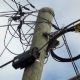Telefonistas sufren sabotajes y robo de cables en Irapuato