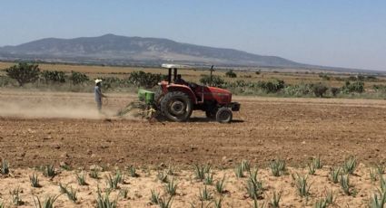 Dan para riego agrícola en Guanajuato la mitad de agua requerida; está por abrirse la Presa Solís
