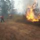 Combaten incendio entre Lolotla y Molango