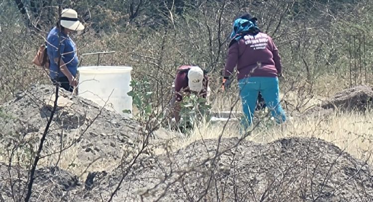 Fiscalía de Guanajuato investiga hallazgo de restos humanos en Abasolo