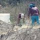 Fiscalía de Guanajuato investiga hallazgo de restos humanos en Abasolo