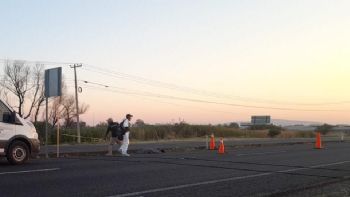 Muere atropellado en carretera Irapuato-Abasolo; responsable huye