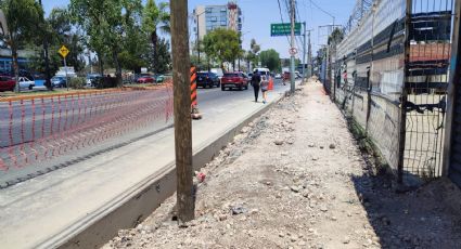 Obras en bulevar López Mateos ponen en jaque a peatones y ciclistas; apenas van al 10 %