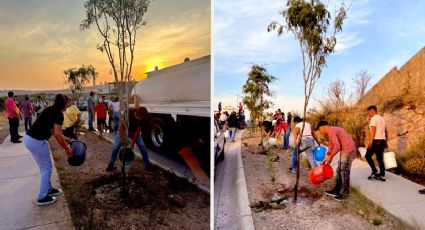 Conductores cambian sus infracciones viales por regar árboles en León