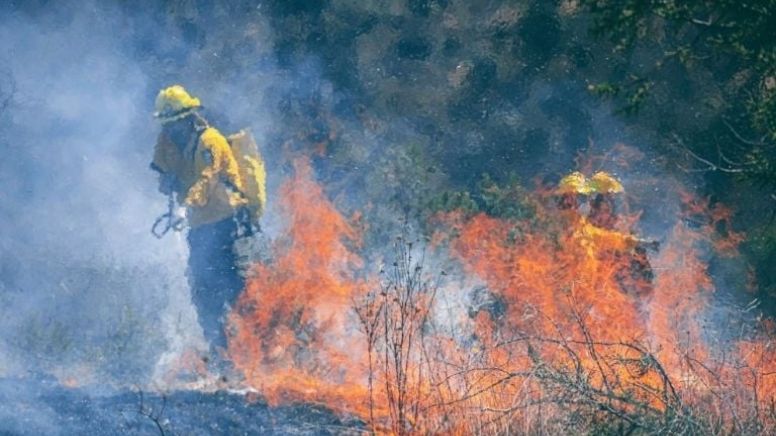 Acumula Hidalgo 104 incendios forestales; Acaxochitlán y Cuautepec con más incidencia