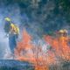 Acumula Hidalgo 104 incendios forestales; Acaxochitlán y Cuautepec con más incidencia