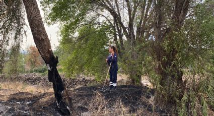 Mueren más árboles: Intentan sofocar incendio forestal en Salvatierra ¡a cubetazos!