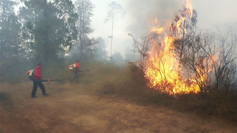 Se complica combate a incendio forestal en Tenango de Doria