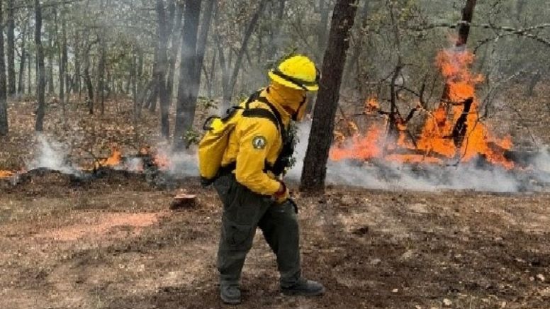 Incendio forestal de San Luis Potosí se extiende y llega a Guanajuato