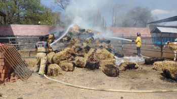 Se incendian pacas de rastrojo en granja de Uriangato y bomberos impiden se extienda el fuego