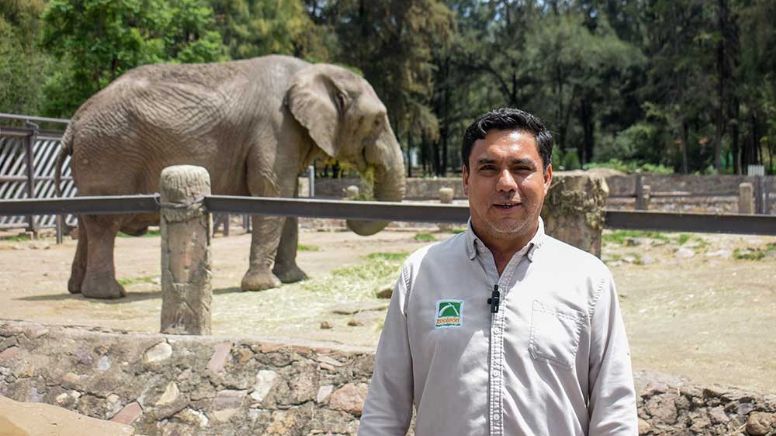 Día del veterinario: Jesús cumple 20 años de trabajar en el ZooLeón forma vínculo especial con Davy, el elefante