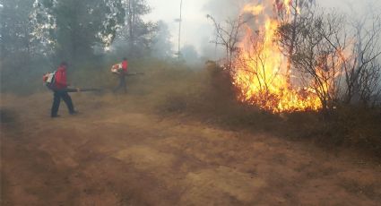 Combaten incendio entre Lolotla y Molango