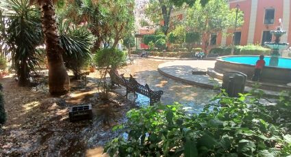 FOTOS | Capitalinos entre agua y lodo: Mega fuga inunda del Jardín Reforma al Sindicato de Mineros