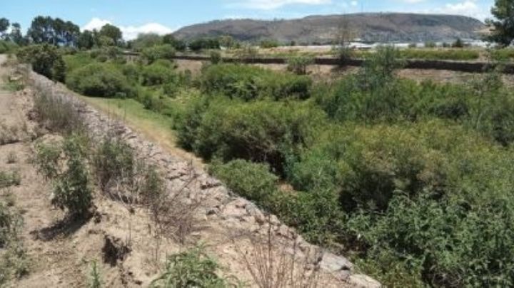 Ríos de Tulancingo, sin trabajos de limpieza y mantenimiento