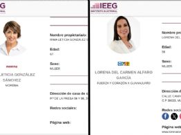 Sólo 2 de los 5 candidatos a la Alcaldía de Irapuato tienen su información completa en la página del IEEG