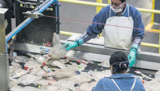 Aumenta a 63 % reciclaje de envases PET en el País