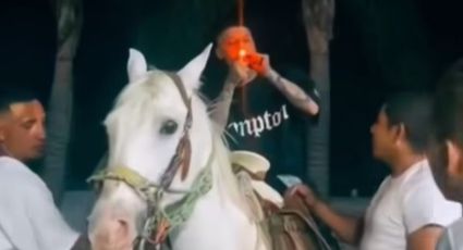 Santa Fe Klan vive momento de horror al desbocarse caballo en que viajaba