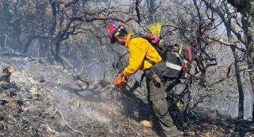 Fuego pirotécnico provoca incendio en la Sierra de Santa Rosa y llamas consume hectárea y media