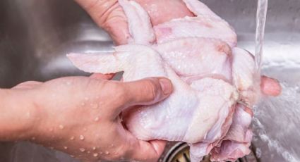 ¡Ya no laves el pollo en el fregadero! Llaman a reforzar higiene por síndrome de Guillain-Barré