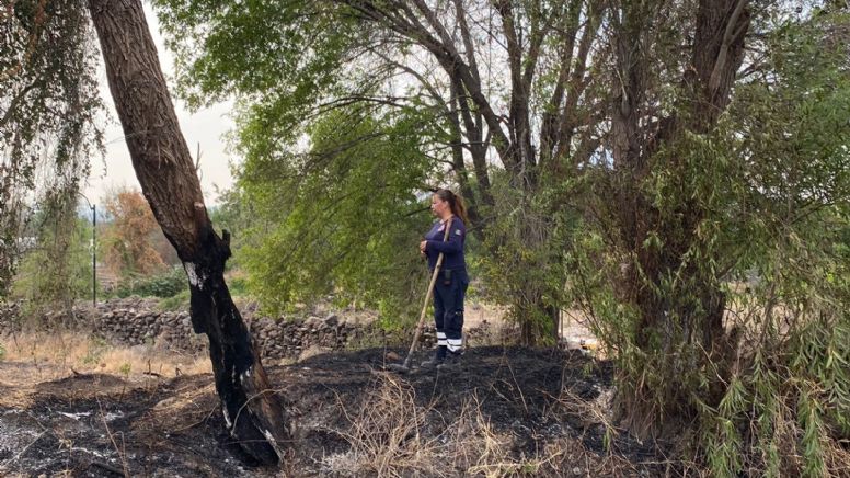 Mueren más árboles: Intentan sofocar incendio forestal en Salvatierra ¡a cubetazos!