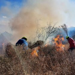 En fase de confinamiento incendios forestales en San Bartolo Tutotepec y Tenango de Doria