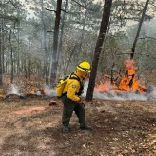 Incendio forestal de San Luis Potosí se extiende y llega a Guanajuato