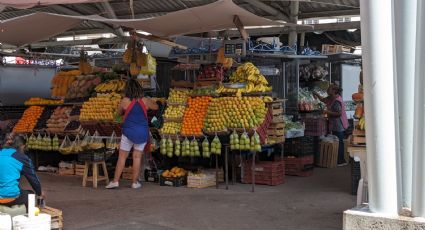 Va a la alza el precio del chile, jitomate, pepino, fresa y uva en Irapuato